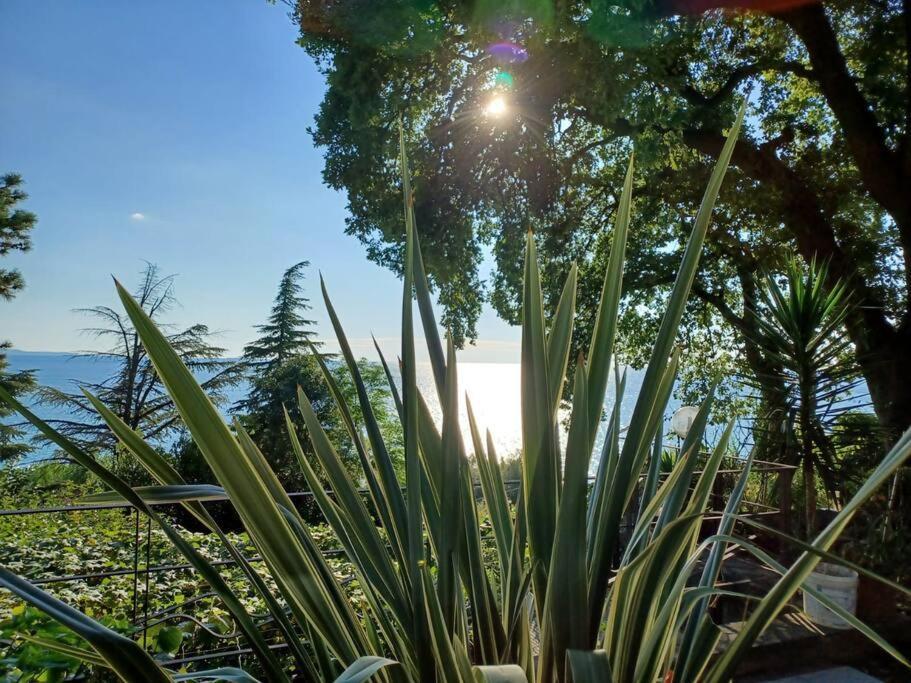 Brezza Marina - Appartamento In Villa Fronte Mare Trieste Esterno foto