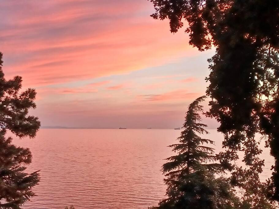 Brezza Marina - Appartamento In Villa Fronte Mare Trieste Esterno foto