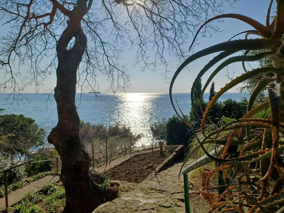 Brezza Marina - Appartamento In Villa Fronte Mare Trieste Esterno foto