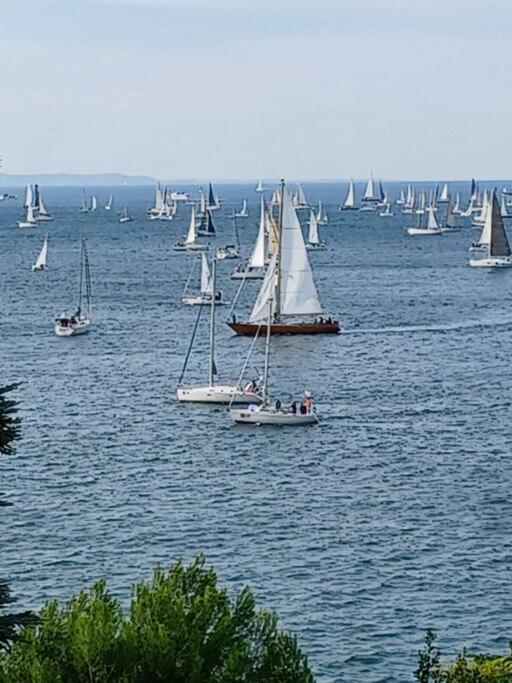 Brezza Marina - Appartamento In Villa Fronte Mare Trieste Esterno foto